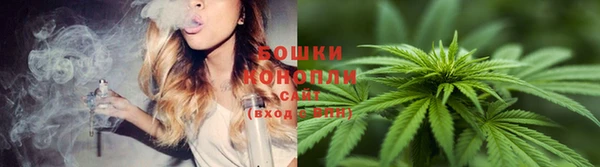 2c-b Белоозёрский